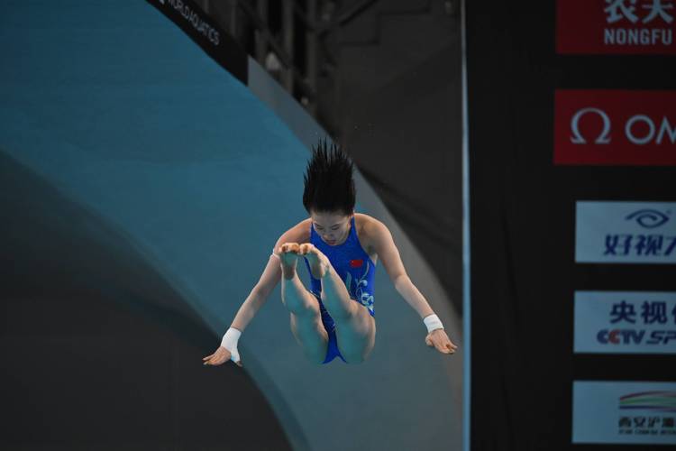 世界杯跳水女子10米跳台决赛