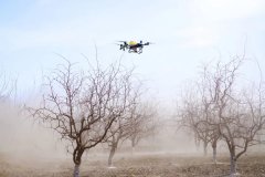 让科技赋能成为红枣财产高质量成长的焦点